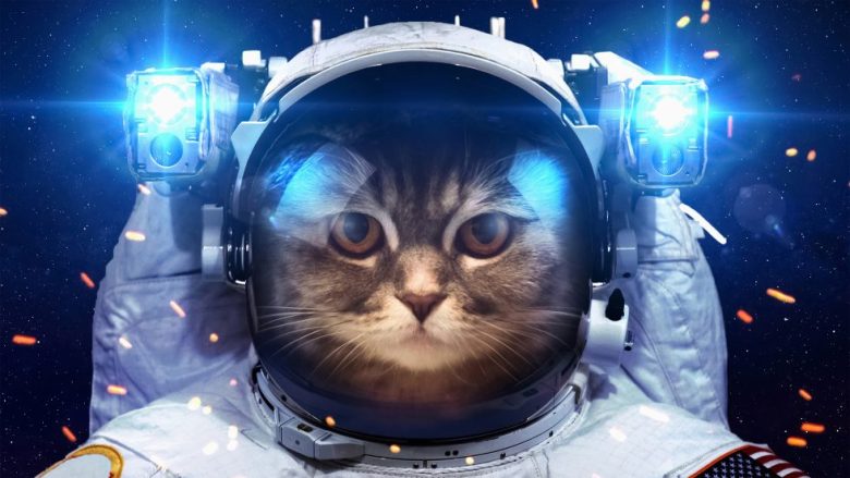 太空猫宇航员4K动漫壁纸 免费下载-天派壁纸网